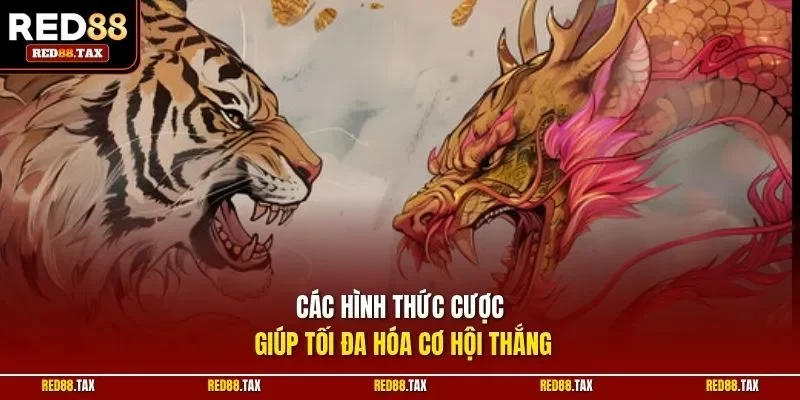 Các hình thức cược giúp tối đa hóa cơ hội thắng