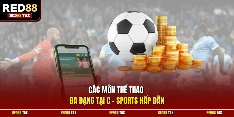 Các môn thể thao đa dạng tại C Sports hấp dẫn
