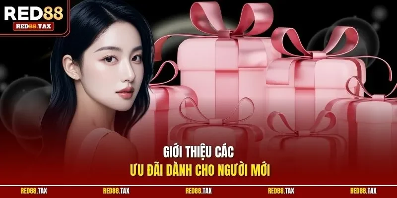Giới thiệu các ưu đãi dành cho người mới