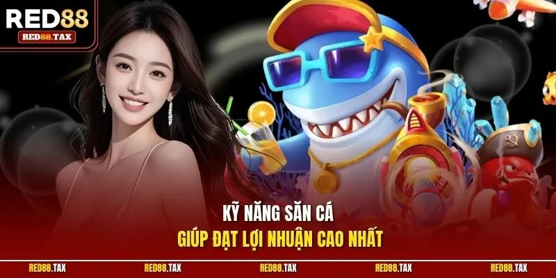 Kỹ năng săn cá giúp đạt lợi nhuận cao nhất