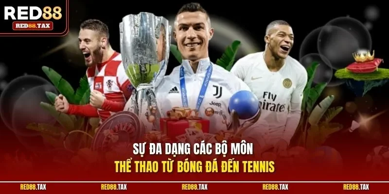 Sự đa dạng các bộ môn thể thao từ bóng đá đến tennis