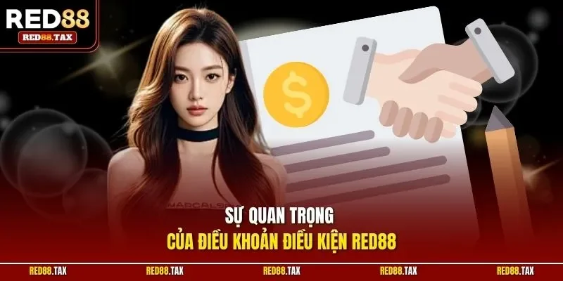 Sự quan trọng của điều khoản điều kiện Red88